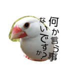 出会った動物たち（個別スタンプ：8）