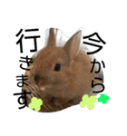 出会った動物たち（個別スタンプ：12）