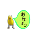 出会った動物たち（個別スタンプ：16）