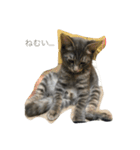 SYO-BU STAMP（個別スタンプ：2）