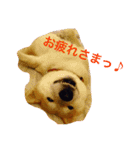 M家ペットズ（個別スタンプ：10）
