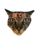 くろみつとむぎお（個別スタンプ：1）
