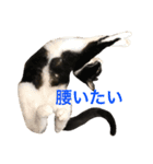 くろみつとむぎお（個別スタンプ：5）