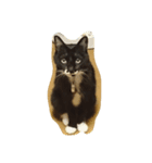 ねーこ様（個別スタンプ：7）