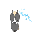 RODEO MAN（個別スタンプ：8）