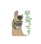 RODEO MAN（個別スタンプ：31）