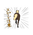 RODEO MAN（個別スタンプ：33）