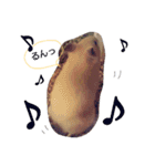 キンクマハムスターのkimochiすたんぷ2（個別スタンプ：4）