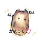 キンクマハムスターのkimochiすたんぷ2（個別スタンプ：5）