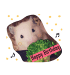 キンクマハムスターのkimochiすたんぷ2（個別スタンプ：6）
