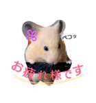 キンクマハムスターのkimochiすたんぷ2（個別スタンプ：8）
