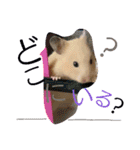 キンクマハムスターのkimochiすたんぷ2（個別スタンプ：13）