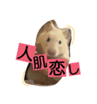 キンクマハムスターのkimochiすたんぷ2（個別スタンプ：14）
