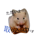 キンクマハムスターのkimochiすたんぷ2（個別スタンプ：15）