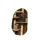 上間家の猫たち（個別スタンプ：8）