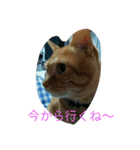 うりとにゃあ（個別スタンプ：2）