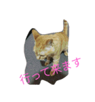 うりとにゃあ（個別スタンプ：5）