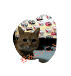 うりとにゃあ（個別スタンプ：8）