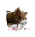 うりとにゃあ（個別スタンプ：11）