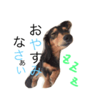 らぶだっくす（個別スタンプ：4）