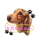 らぶだっくす（個別スタンプ：7）