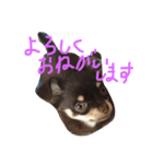 ナチュの日常（個別スタンプ：2）