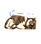 ナチュの日常（個別スタンプ：6）
