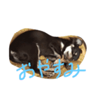 ナチュの日常（個別スタンプ：12）