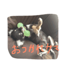 ナチュの日常（個別スタンプ：14）