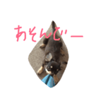 ナチュの日常（個別スタンプ：16）