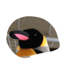 hyorohyoro（個別スタンプ：8）