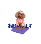 クリン（個別スタンプ：2）