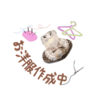 クリン（個別スタンプ：7）