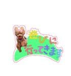 クリン（個別スタンプ：9）
