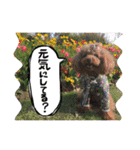 クリン（個別スタンプ：10）