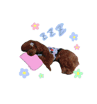 クリン（個別スタンプ：12）