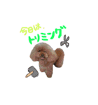 クリン（個別スタンプ：15）