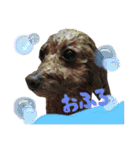 クリン（個別スタンプ：16）