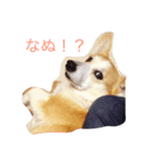 おにしの日常2（個別スタンプ：1）
