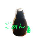 クロネコレンくん（個別スタンプ：6）