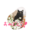 クロネコレンくん（個別スタンプ：8）