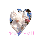花からの言葉（個別スタンプ：1）
