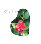 花からの言葉（個別スタンプ：2）