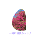 花からの言葉（個別スタンプ：3）