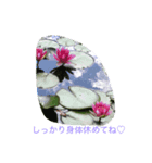 花からの言葉（個別スタンプ：7）