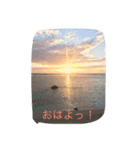 使える言葉（個別スタンプ：1）