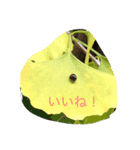 使える言葉（個別スタンプ：3）