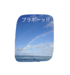 使える言葉（個別スタンプ：5）