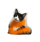 猫パトロール（個別スタンプ：16）