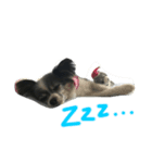 マイク①（個別スタンプ：1）